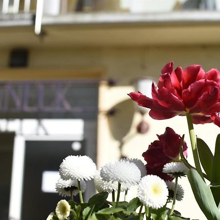 Hotel Haus Sonneck Marburg Zewnętrze zdjęcie